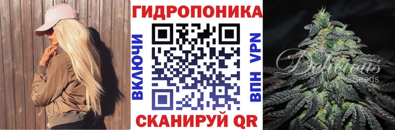  КОКАИН Злынка